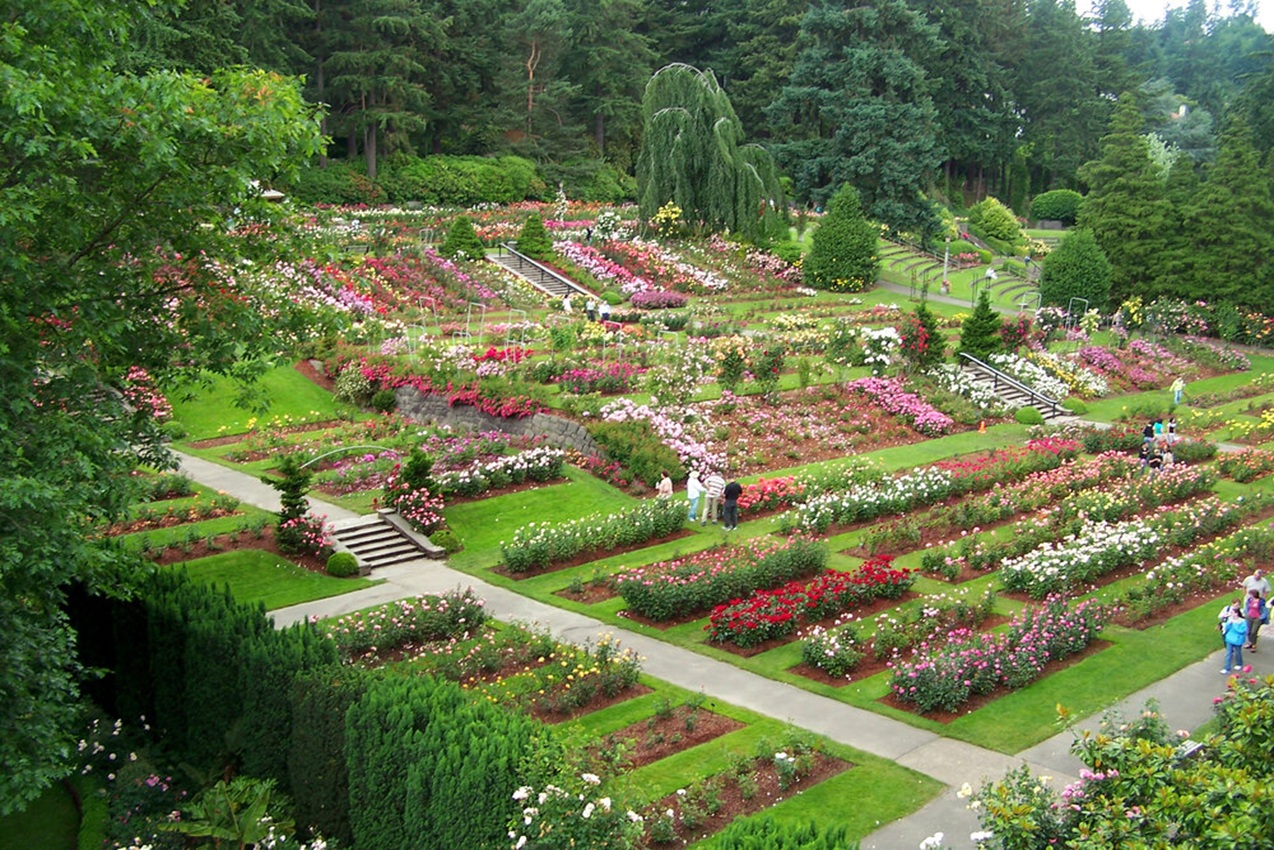 A scenic view of the International Rose Test Garden with Mount Hood in the background is the best places to visit in April