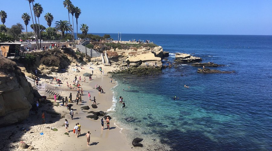 he picturesque coastline and vibrant community at La Jolla Cove.