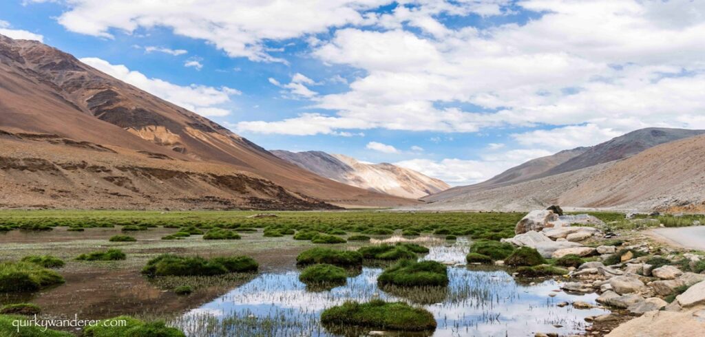 Ladakh: The Land of High Passes