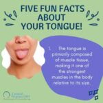 fun facts about the tongue